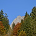 Der Bösbächistock hinter dem Herbstwald.