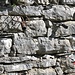 <b>Muro a secco di Calcare di Moltrasio (alias Calcare selcifero lombardo della bibliografia geologica svizzera).</b>
