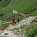 Salita verso il Rifugio Bolzano per il sentiero del Turista