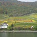 Herbstfarben am Bielersee ...