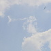 4 gliders over Amden
