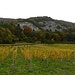 Rebkulturen vor Felswänden (Roche au Cros)