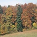 Gassberg in Herbststimmung.
