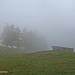 Dicke Nebelsuppe bei der Talstation der Materialseilbahn der Leobnerhütte