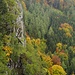 Das Grazer Bergland im Herbstkleid