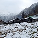 Alla bella conca prativa e acquitrinosa dell' Alpe di Rescignaga Q1612