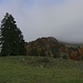 Eigentlich müsste der Gipfel der Dent de Lys oberhalb vom P.1086m auf dem Strässchen "Route des Prés" sichtbar sein. Dennoch blieb ich in den Wolken versteckt obwohl eigentlich herrliches Herbstwetter angekündigt war.