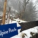 Start vom Alpinen Weg