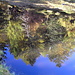riflessi