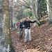 discesa nel bosco