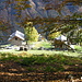 Alpe Pianezzo