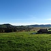 Altberg: Blick über das Altbergried und das Hochmoor Schwantenau in Richtung Etzel. Die Schwantenau ist das [http://www.pronatura-sz.ch/schwantenau  viertgrösste Hochmoor] der Schweiz. 