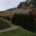 Beim P.1200m erreichte ich wieder ein Fahrsträsschen. Ich wanderte ihm bis zur Alp Crau Dessous entlang wobei ich die Kurven querfeldein abkürzte.<br /><br />Rechts oben sah ich nun erstmals seit ich loslief den Dent de Corjon (1967m).