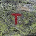 Le "T" rosse che indicano il sentiero