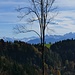 Gipfelschau ins Glarnerland
