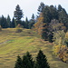 Herbstimpression