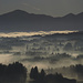 Nebellandschaft / paesaggio nella nebbia