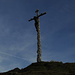 "Ästiges" Gipfelkreuz / croce di vetta dell`Hinteres Hörnle, in origine con molti rami 