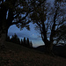 Der Mond zwischen den großen Zauberbäumen am Wildeck / La luna tra gli alberi magici sul Wildeck