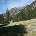 Alp de Lagh 