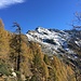 Blick zurück zum Madom da Sgióf