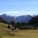 Rohrmooser Tal, im Hintergrund links das Nebelhorn