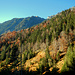 Herbst im Hinteren Großwalsertal