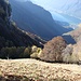 <b>Pianca dell'Alpe e Valle della Croce.</b>
