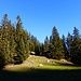 An der Laber-Alm
