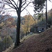 <b>Rifugio delle Guardie di Confine (1350 m) nella Valle del Bové ("la caserméta").<br /></b>