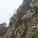 Der neue Klettergarten in Klus bei Balmsberg