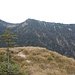 Blick von der Illing-Gipfelfläche zum Rauheck