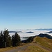 Nördlich der Alpen ein riesiges Nebelmeer - hier Blickrichtung Allgäuer Alpen