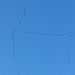 Vogelzug; es handelt sich um Kraniche, die wohl aus Richtung der Talsperre Kelbra kommen, jedenfalls ziehen sie in Ost-West-Richtung 