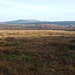 Im Roten Moor; ein kleiner Rest des einst viel größeren Hochmoores hat den Torfabbau noch überlebt. 