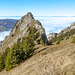 Moléson, Dent du Chamois, Dent du Broc
