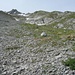 Geröll und nochmals Geröll: Die endlose über 400m hohe Nordwestflanke des Brätterstocks. Oberhalb der Flanke sind die Felsentürmchen vom P.2180m zu sehen