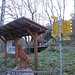 Die letzten eineinhalb Kilometer führten dem Steinbocklehrpfad entlang. Schöner Weg und Informativ für gross und klein