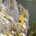 Die zweitletzte Seillänge über die grasigen Bänder auf der Nordseite. Am Felsen in der Bildmitte ist der Bohrhaken.