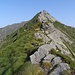 Auf dem Grat geht es nun zur Cima di Moncale. Die Cima ist der markanteste Gipfel auf diesem Grat vor dem Monte Legnone. 