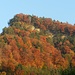 Herbstwald an der Rabeflue (ob Thun, Lauenen)