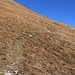 Oberhalb des Skianlagen quert der Bergweg auf den Gros Van gesammte begraste Südostflanke. Dabei gewinnt man in der Flanke über 100 Höhenmeter bis der Weg den Ostgrat erreicht.