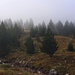 Eintauchen in den geheimnisvollen Nebelwald oberhalb Radomirë.