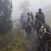 Zusammen mit den Hirten reiten wir durch den Nebelwald hinauf auf zu den Schafherden auf der Alp.