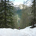 L'uscita dal bosco