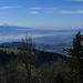 Sicht zu Zürichsee