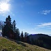 wunderbar auf der Höchhand