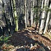 Abstiegsgelände