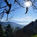 Ausblick