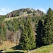 der Habrütipitz